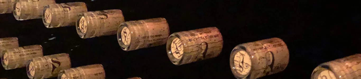 Nuestros Vinos
